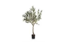 Coco Maison COCO MAISON  Olive Tree H150cm kunstplant